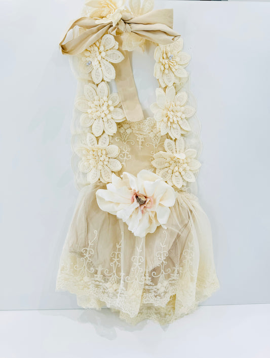 Baby onesie