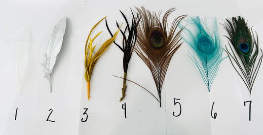 Peacock Feathers