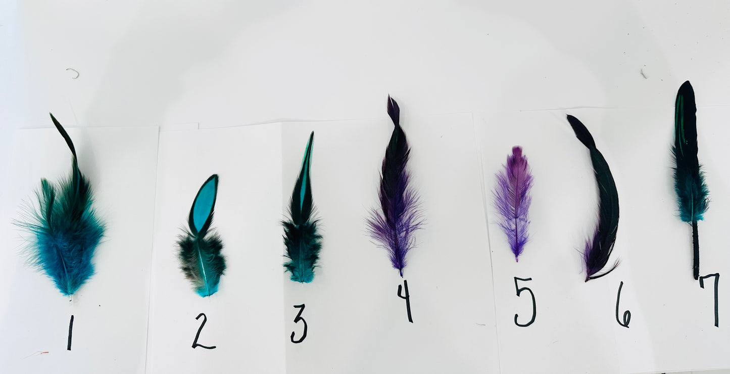 Small Feathers
